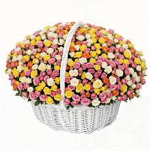 Премиум букет из: Розы #REPLACE_PRED# Приозерском