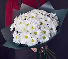 Букет цветов из:  Хризантемы #REPLACE_PRED# Приозерском