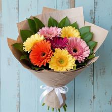 Букет цветов из:  Герберы #REPLACE_PRED# Приозерском
