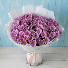 Букет цветов из:  Хризантемы в Приозерском