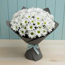 Букет цветов из:  Хризантемы в Приозерском